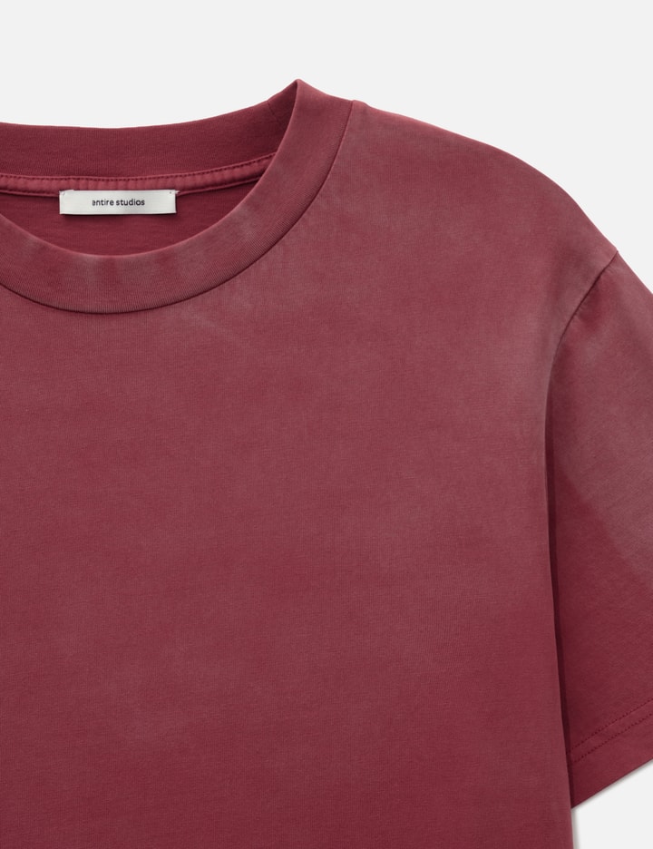 Entire Studios Standard Tee