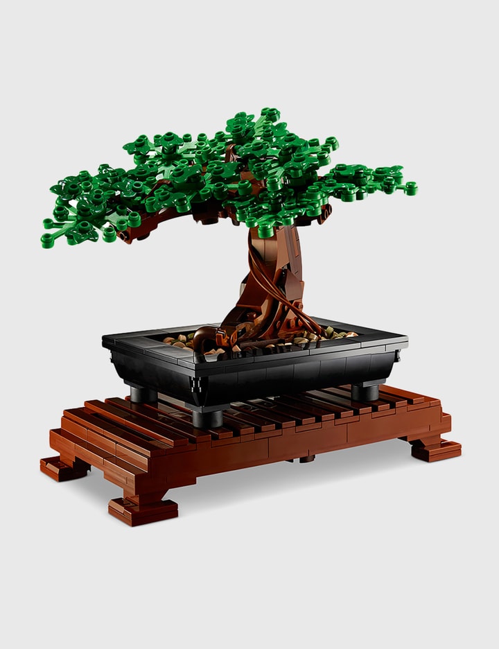 Bonsai Tree Placeholder Image