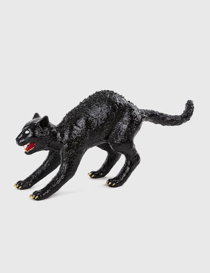 Cujo The Cat Placeholder Image