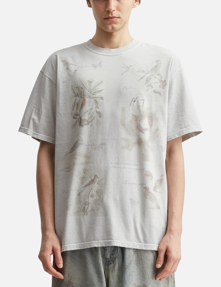 Ancellm Bird Encyclopedia T-shirt In Gray