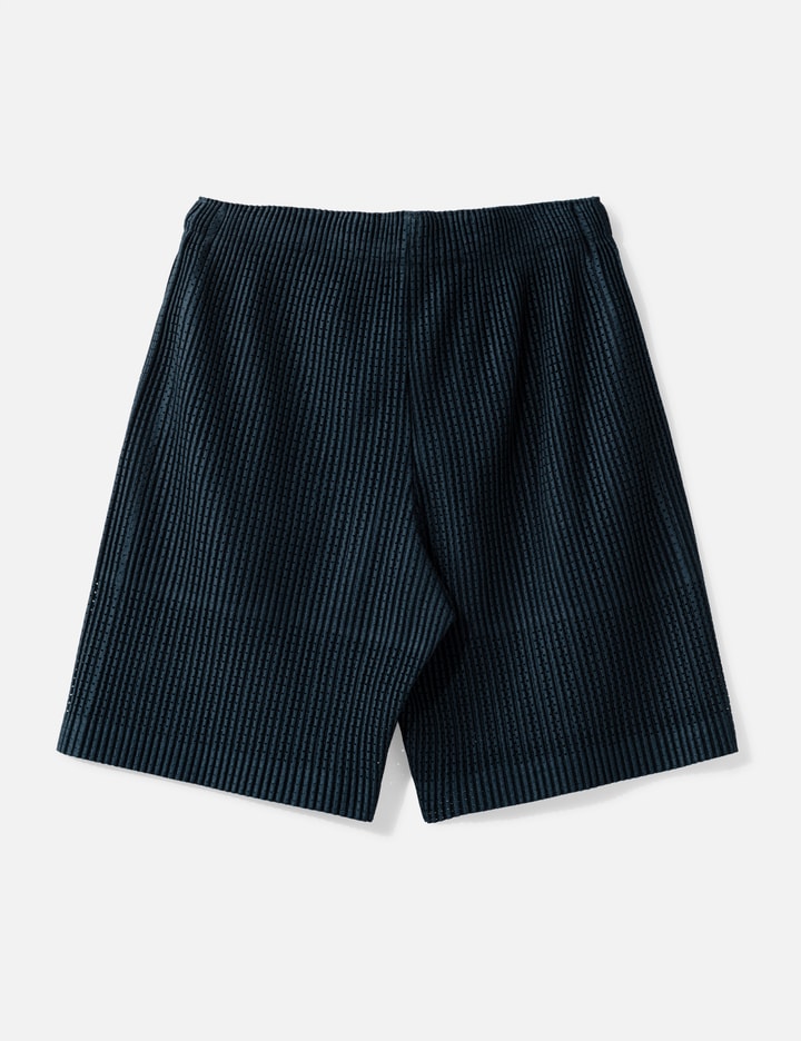 Homme Plissé Issey Miyake Mesh Shorts