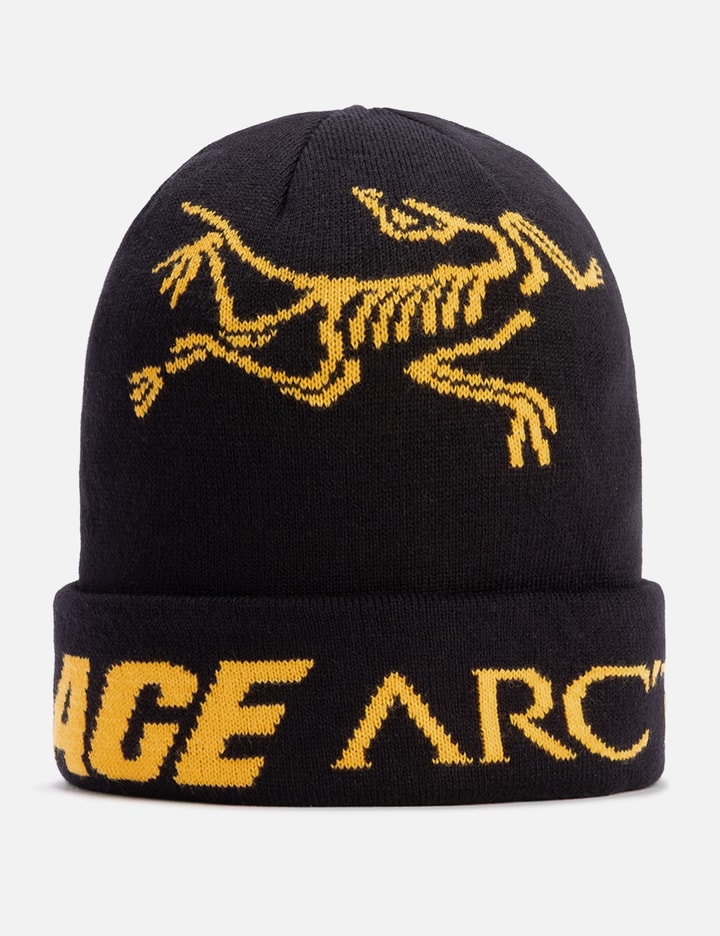 Palace x Arc'teryx Beanie Placeholder Image