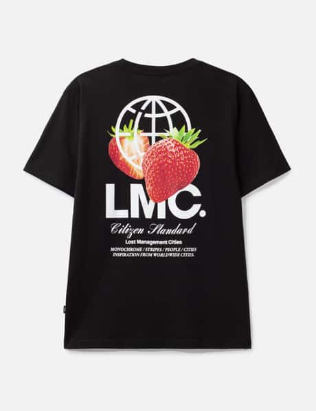LMC view 13