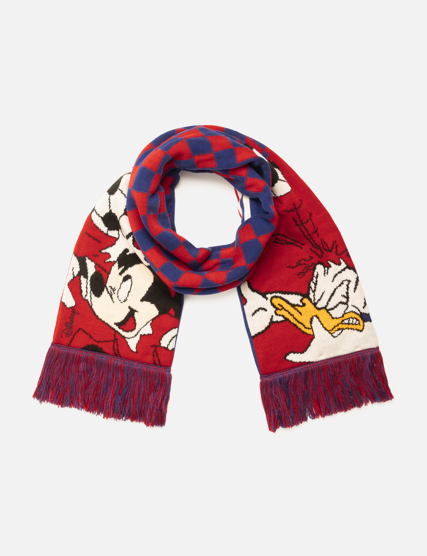 X Brain Dead X Disney Scarf view 13