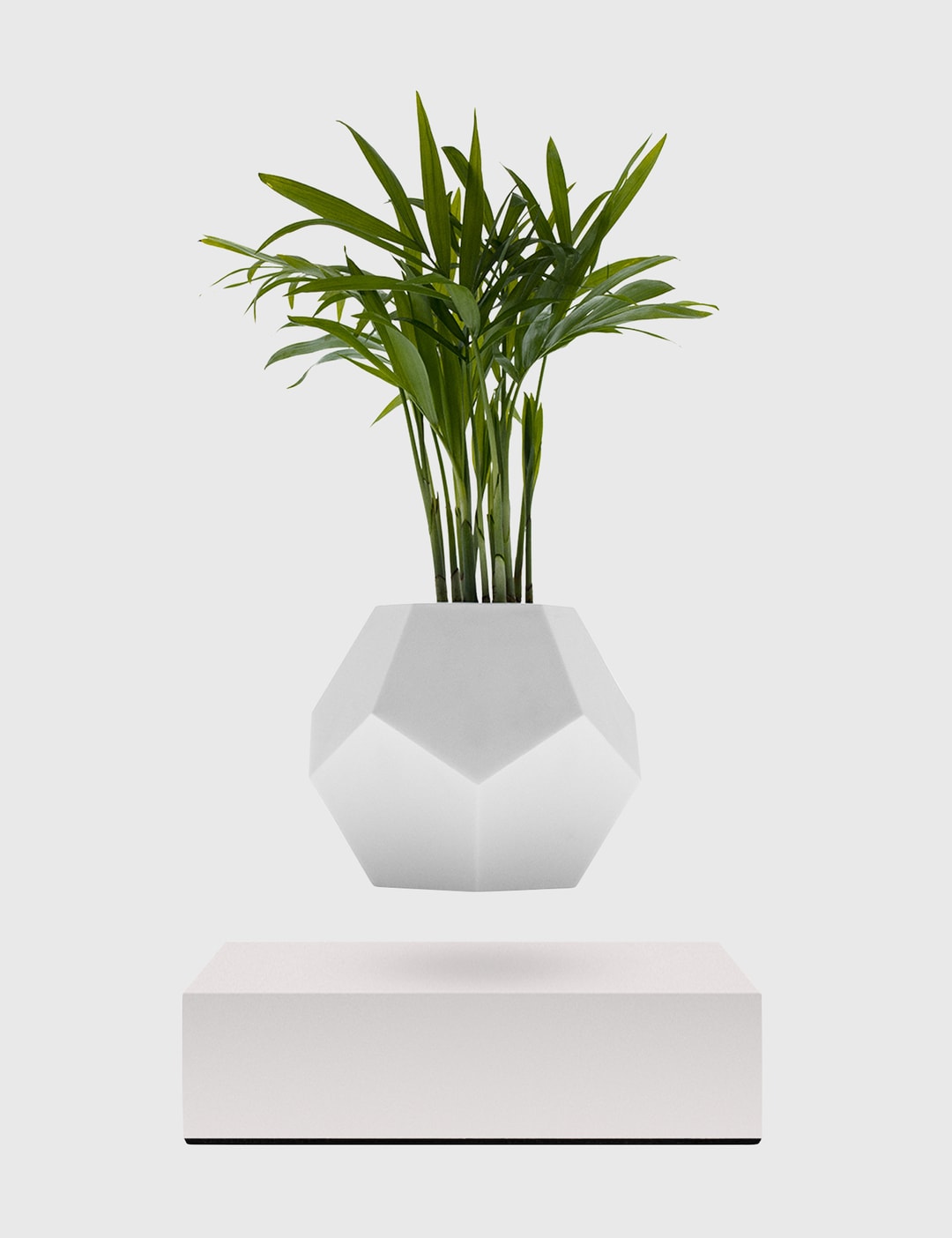 Lyfe Planter – White Placeholder Image