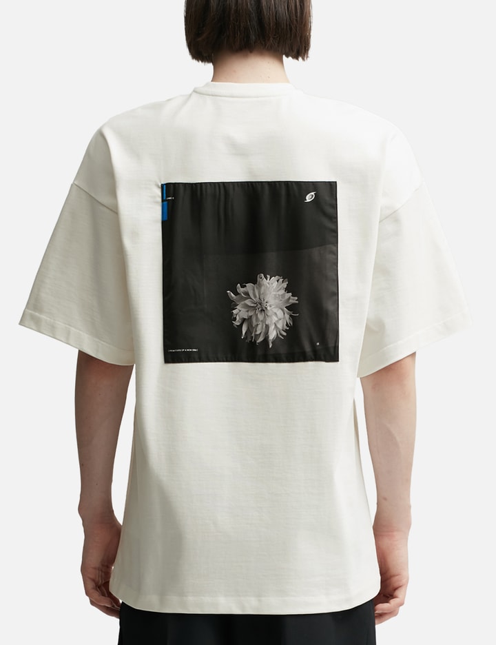 Chrysantheme T-shirt Placeholder Image