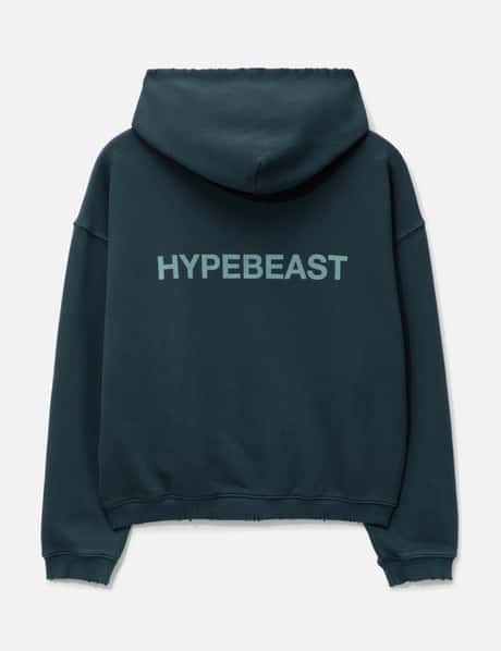 GARMENT DYED LOGO ZIP-UP HOODIE view 11