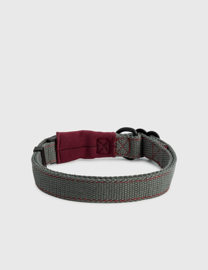 Soft Dog Collar - Medium Placeholder Image