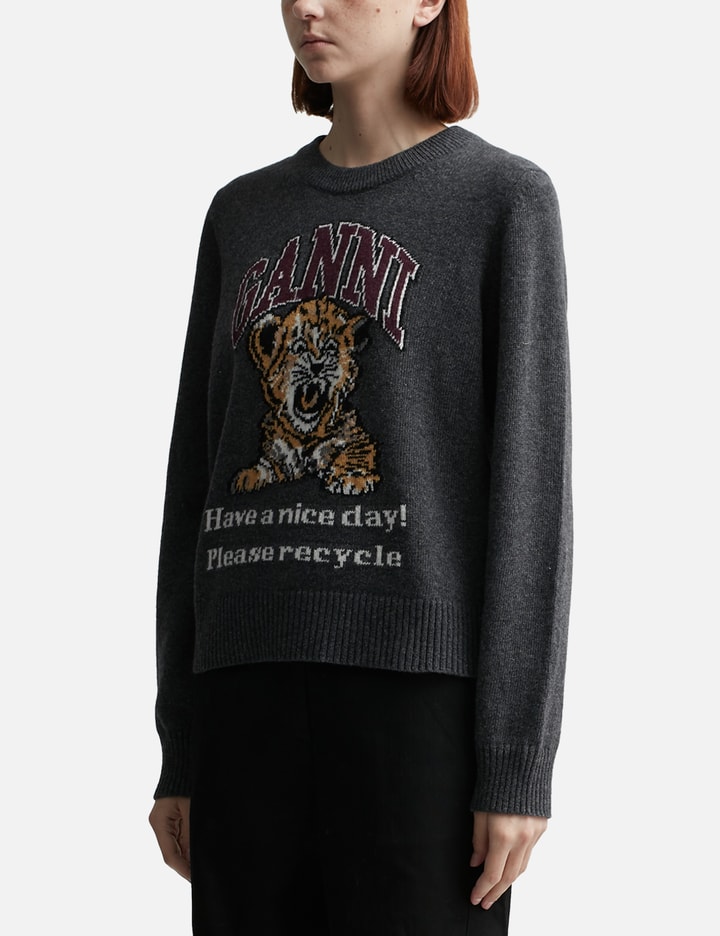 Graphic Tiger Pullover Placeholder Image