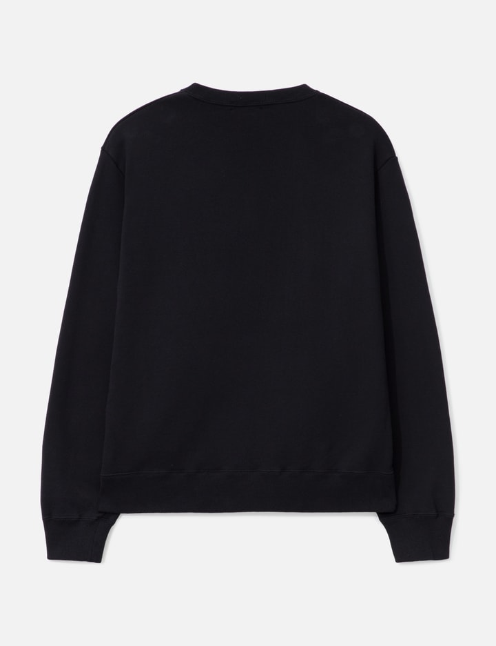 UC2E4892-1 Delusional Behavior Sweatshirt Placeholder Image