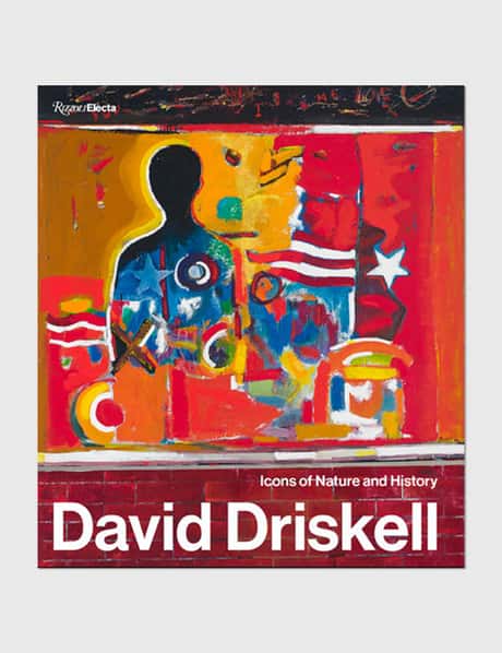 Rizzoli David Driskell: Icons of Nature and History