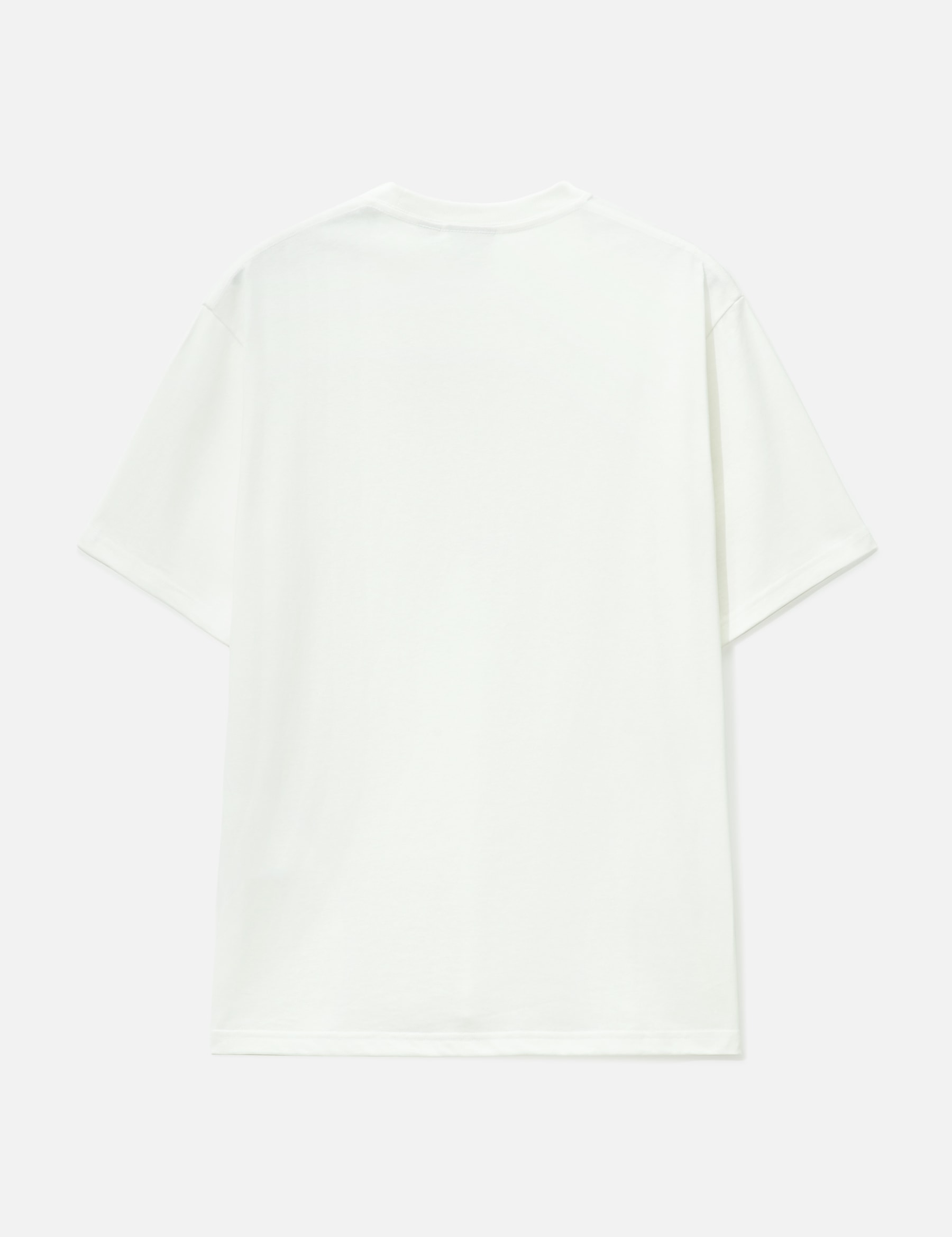 Turtle T-Shirt view 17