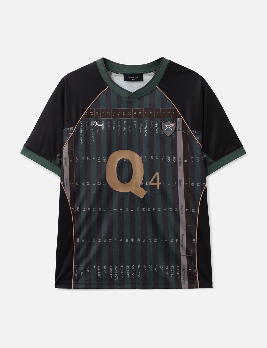 Q4 Jersey view 7