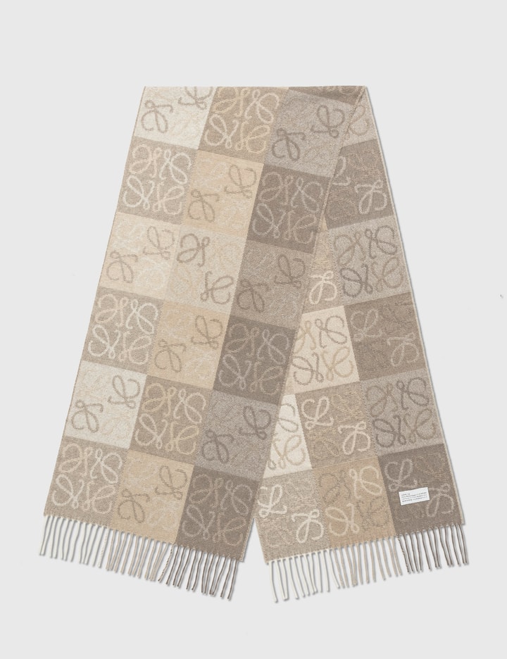 LOEWE x Paula's Ibiza Ombré Anagram Scarf