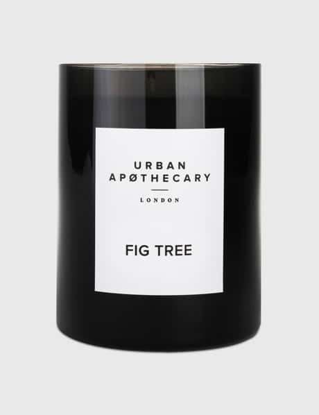 Urban Apothecary Fig Tree luxury Candle