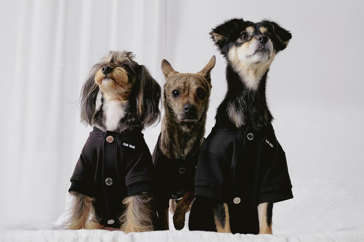TEAM WANG design เปิดตัวซับซีรีส์สัตว์เลี้ยง “FRIENDS”