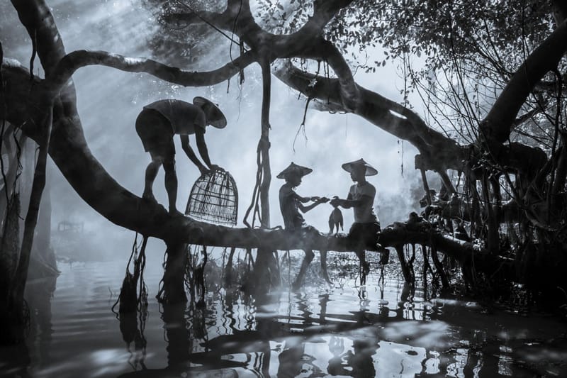 รวมภาพสุดเจ๋งจาก Sony คัดแล้ว! ภาพถ่ายที่ดีที่สุดในโลกปี 2026