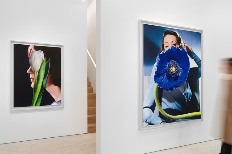 Urs Fischer Meditates on the Ephemerality of ‘Beauty’ in Gagosian Exhibition