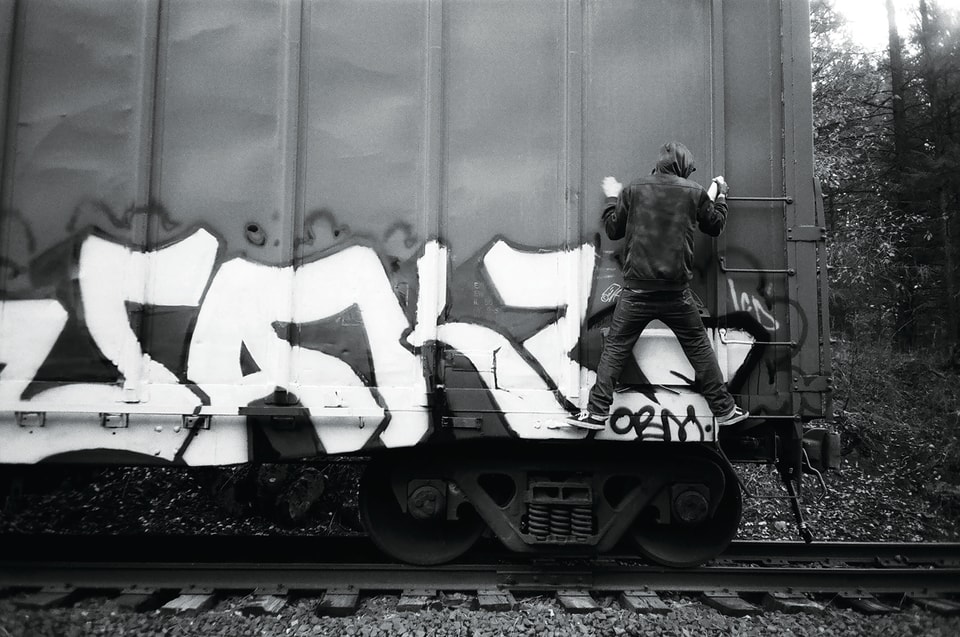 Synthesis essay example picture