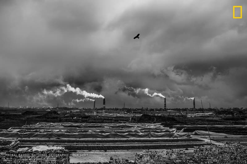 National Geographic Global Warming Photography HYPEBEAST National Geographic Global Warming Photography HYPEBEAST