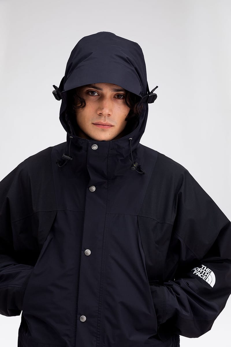 north face the jacket