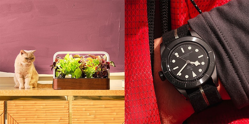 The Ultimate 2021 Father's Day Gift Guide - Flipboard