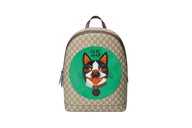 Gucci dog outlet backpack