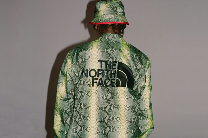 Supreme x The North Face Snakeskin Spring 2018 | Hypebae