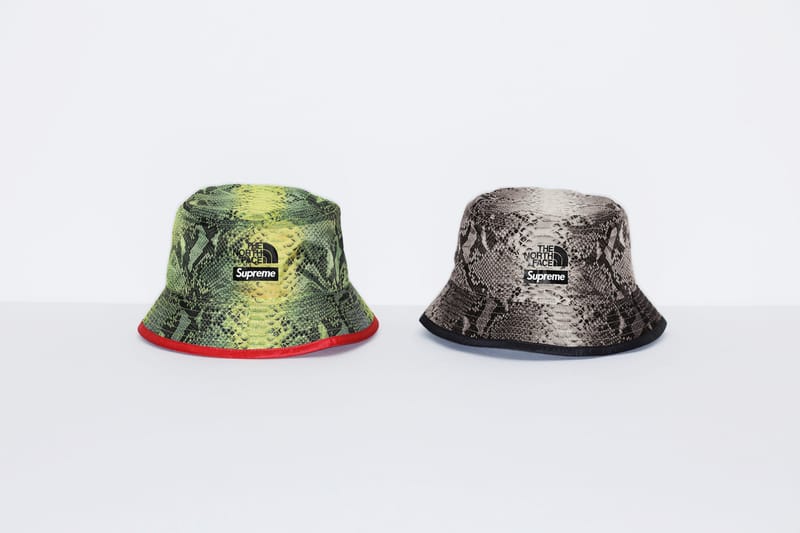 Supreme x The North Face Snakeskin Spring 2018 | Hypebae