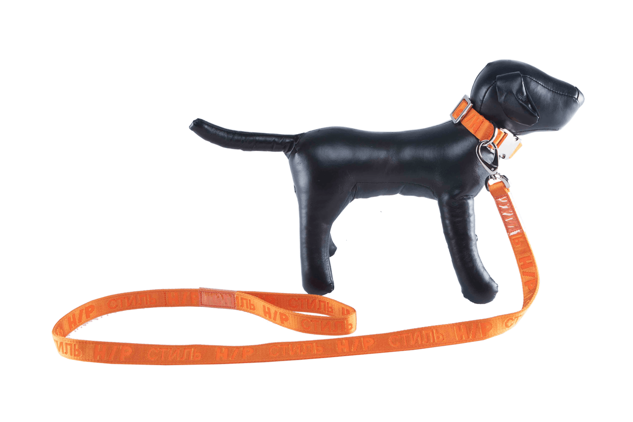 Heron preston dog leash hot sale