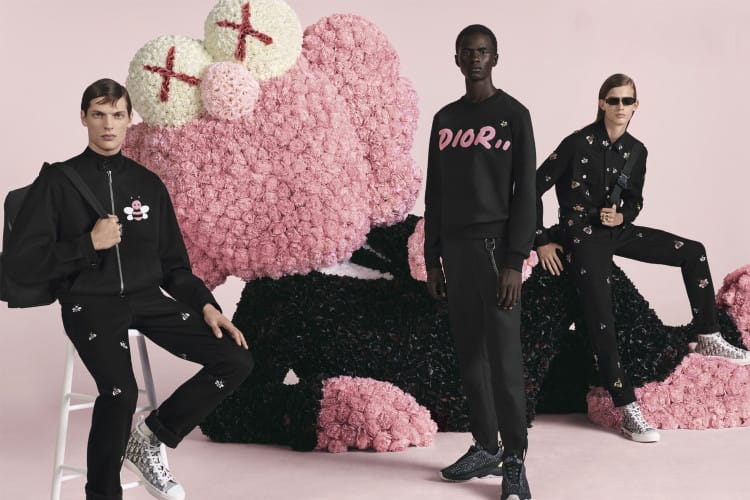 Dior Homme Spring/Summer 2019 Campaign KAWS BFF | Hypebae