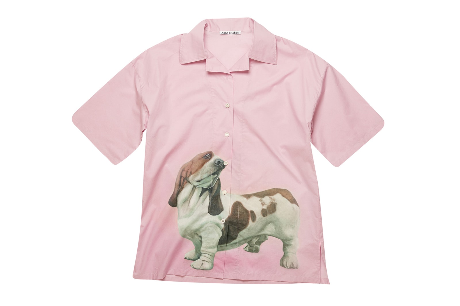 Acne Studios' FW20 Campaign Features Pet Dogs HYPEBAE