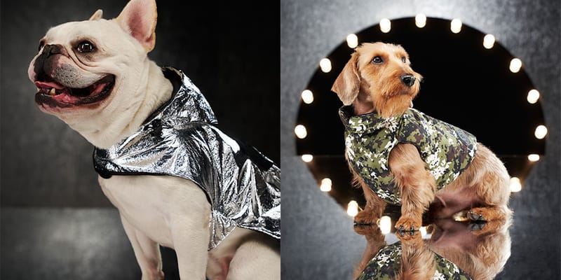 Poldo Dog Couture x Moncler Genius Pet Wear | Hypebae