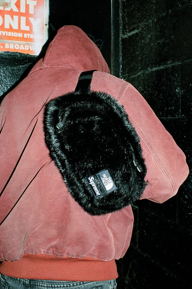 Supreme × The North Face Faux Fur Waist Supreme The North Face Faux Fur Waist Bag FW20 [review] - YouTube