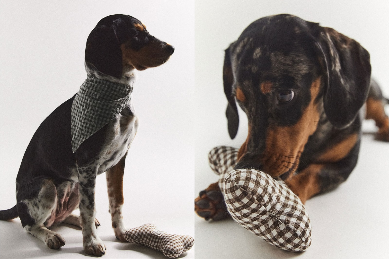 Zara Launches Pet Toys, Clothes, Accessories Hypebae