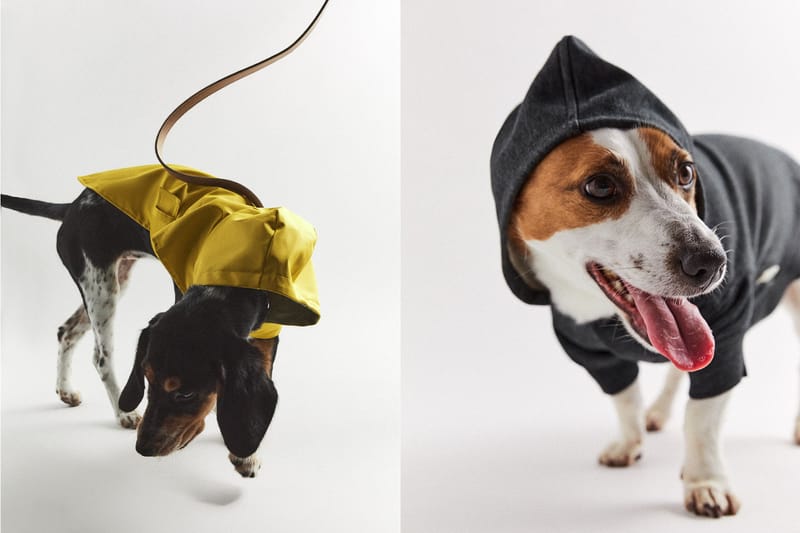 Zara Launches Pet Toys, Clothes, Accessories Hypebae