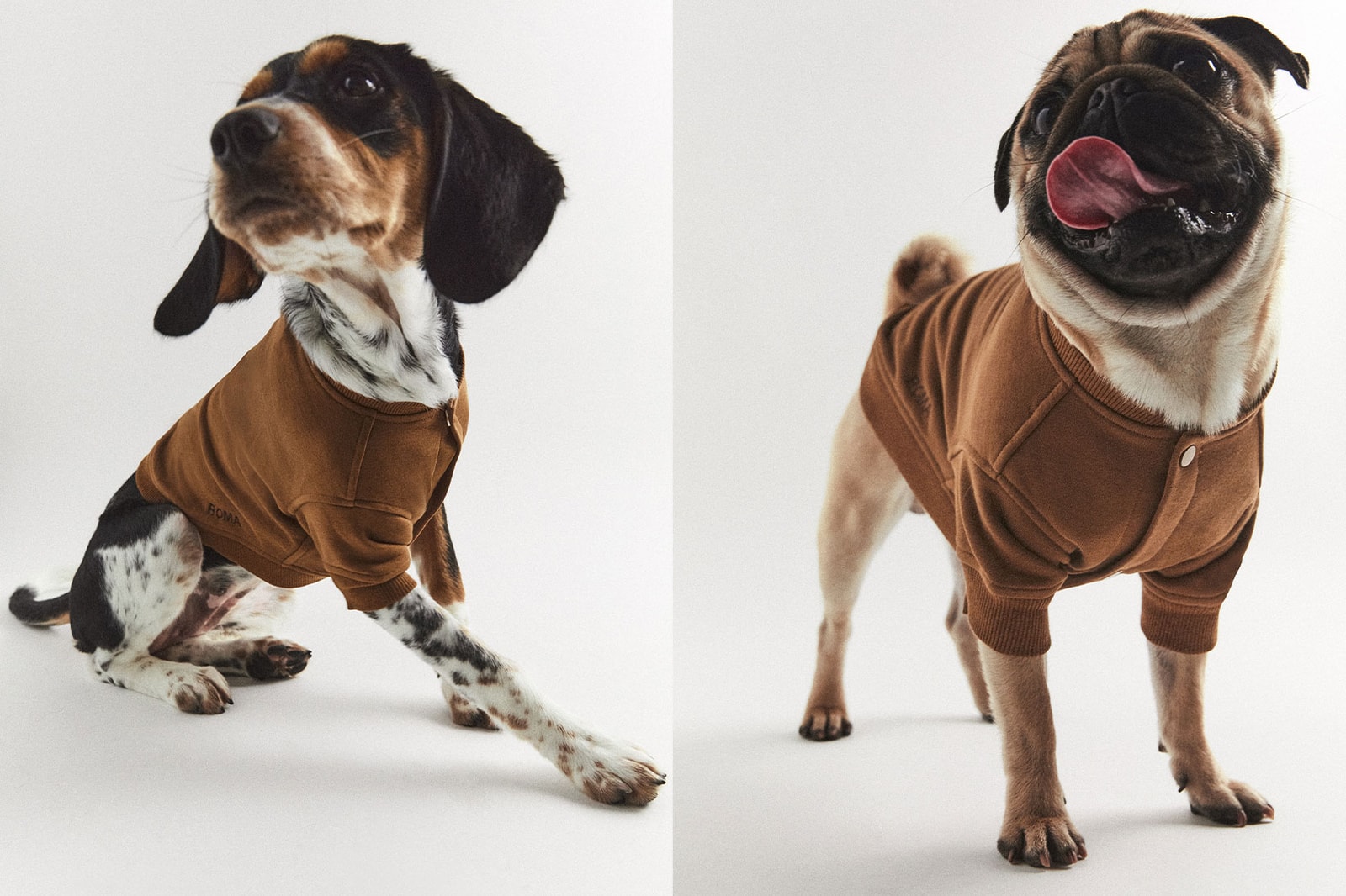Zara Launches Pet Toys, Clothes, Accessories HYPEBAE