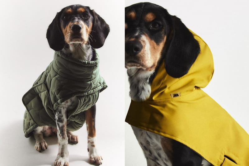 Zara Launches Pet Toys, Clothes, Accessories Hypebae