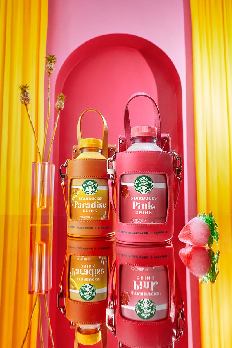 Starbucks x Brandon Blackwood Drop Pink Drink Bags | Hypebae