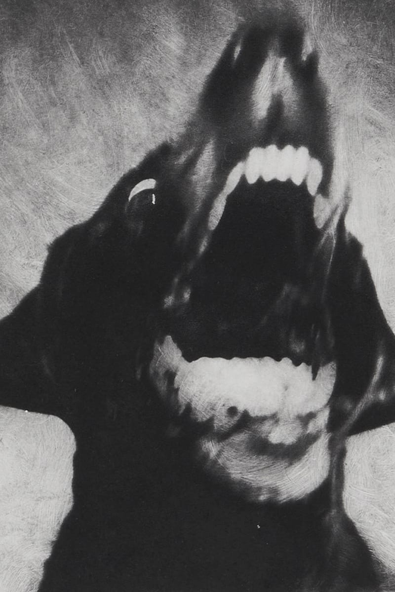 Jack Davison Announces Photo London 2023 Debut | Hypebae