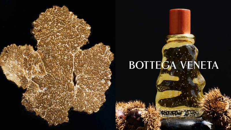 Bottega Veneta Releases New Fragrance Collection | Hypebae