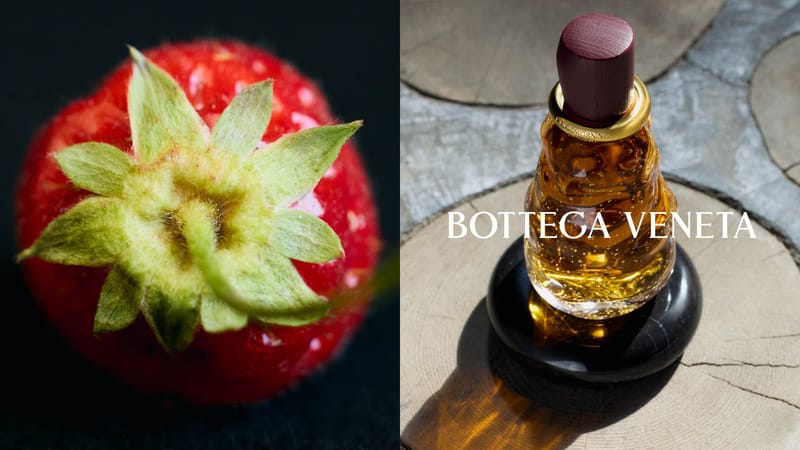 Bottega Veneta Releases New Fragrance Collection | Hypebae