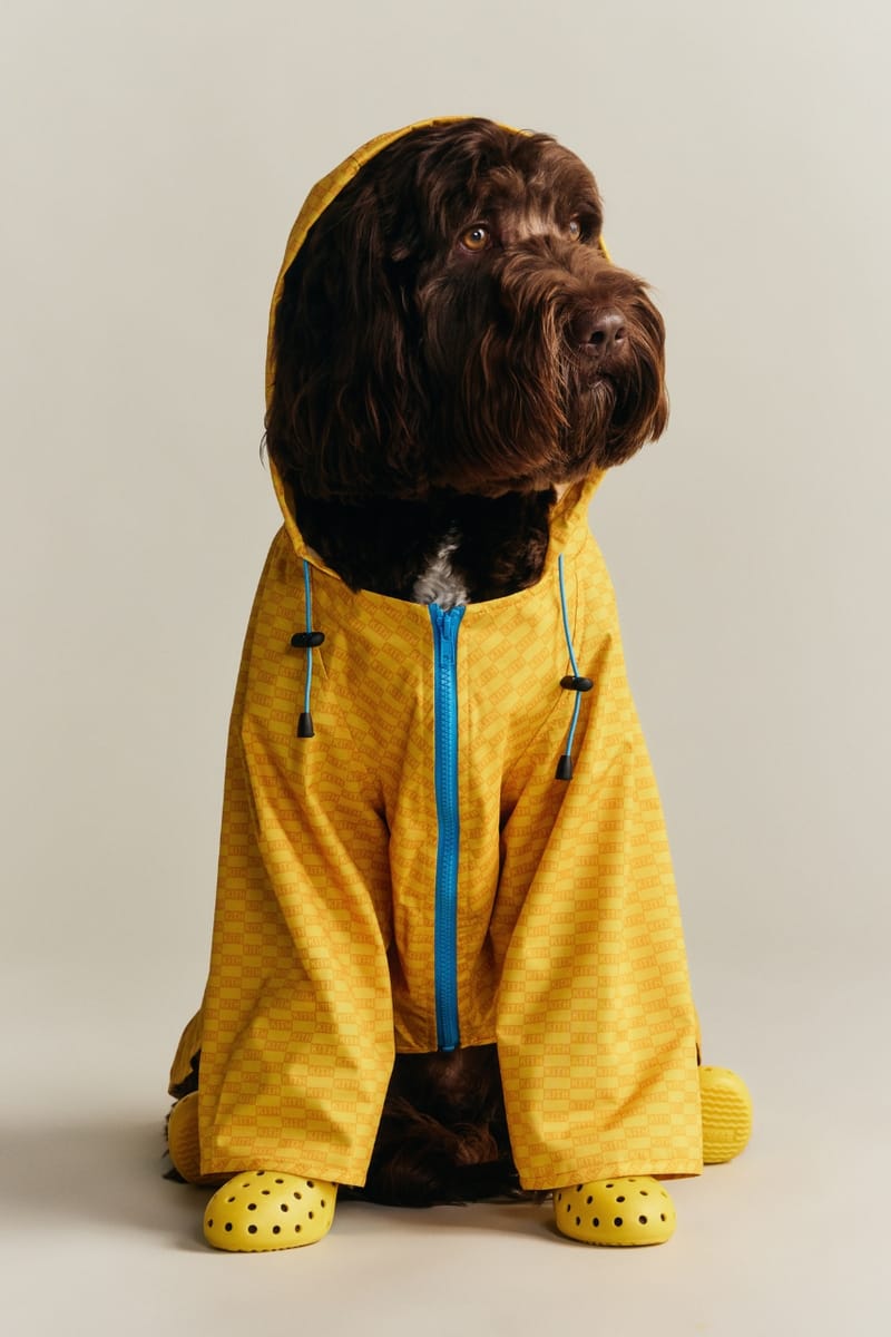 Kith Drops Its First Pet Collection With Wagwear | Hypebae