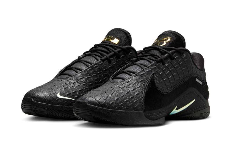 【新品未使用】NIKE LEBRON 22 black label nike-lebron-22-black-label-