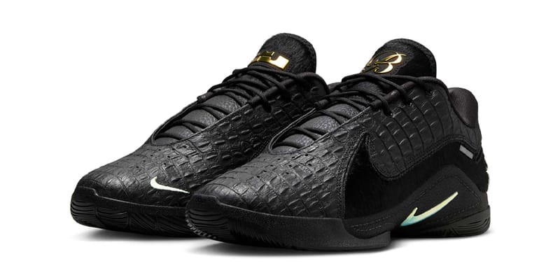 Nike LeBron 22 \
