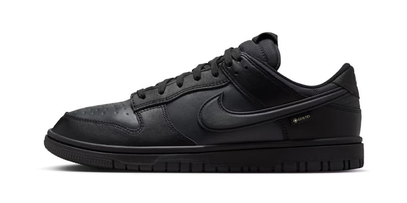 nike-dunk-low-gtx-black-hq2053