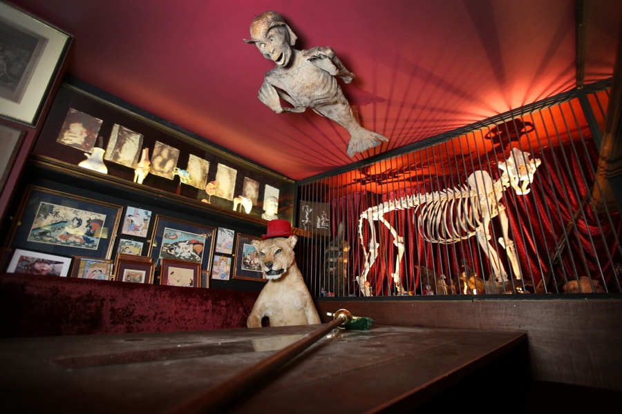 International Museum Day special, see these weird museums in the world ...