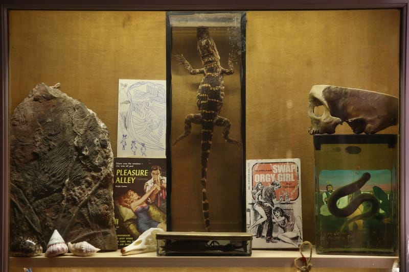 International Museum Day special, see these weird museums in the world ...