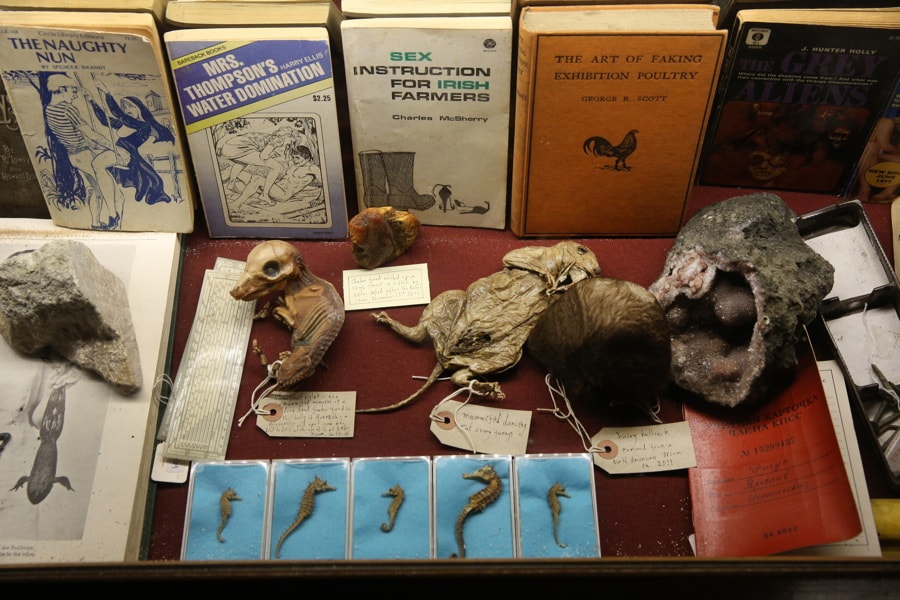 International Museum Day special, see these weird museums in the world ...