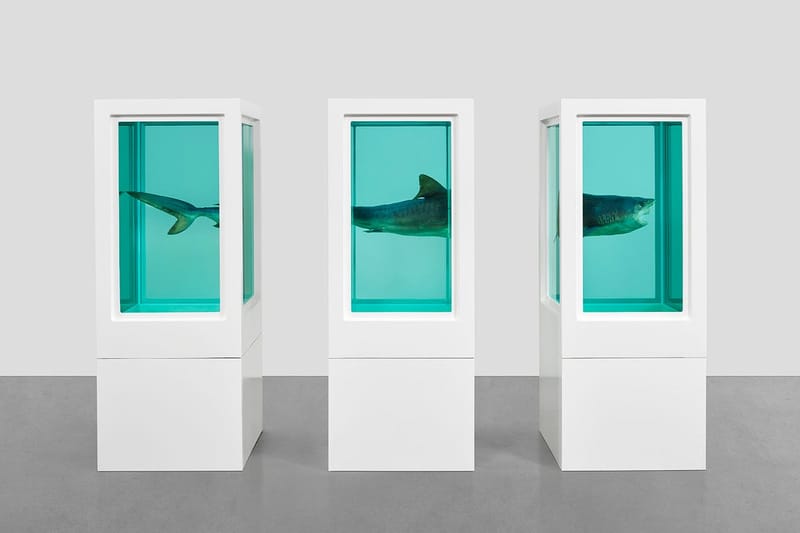 Damien Hirst 于香港举办「Visual Candy and Natural History」展览